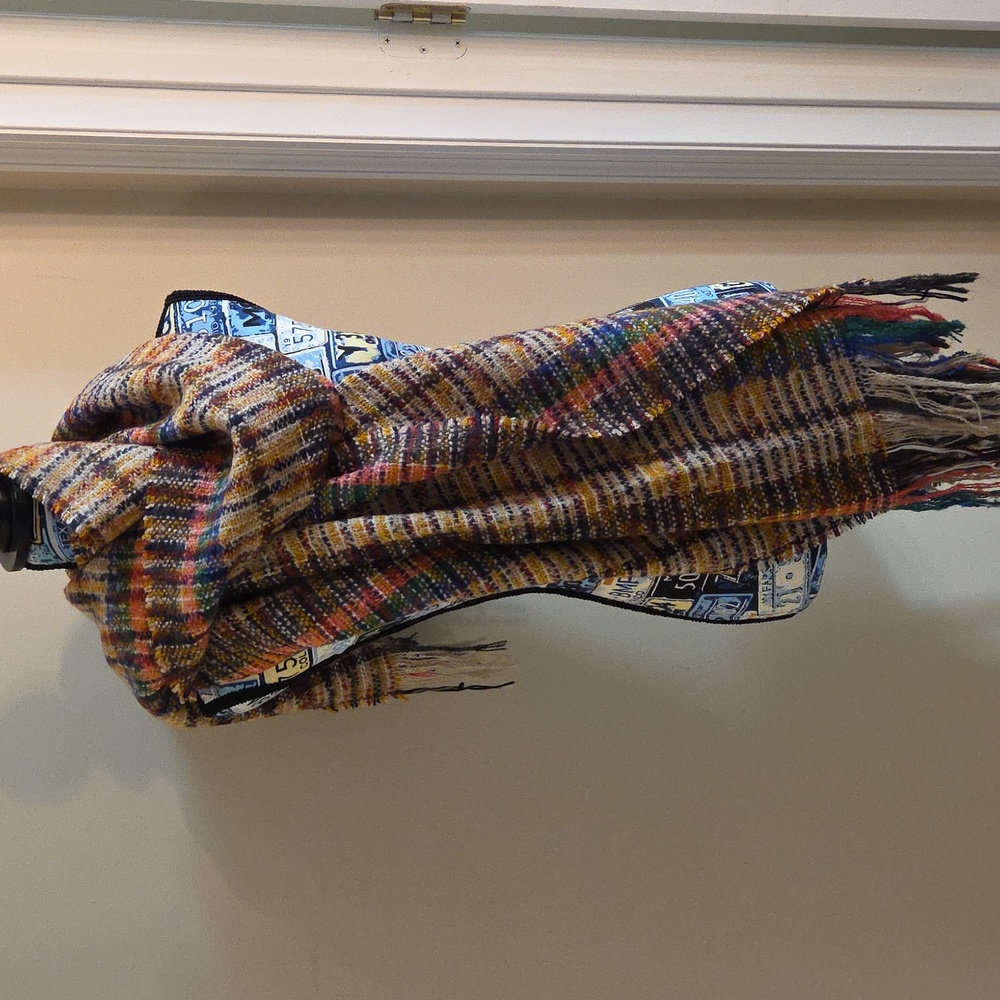 Scarf Multicolor Acrylic Fall Colors